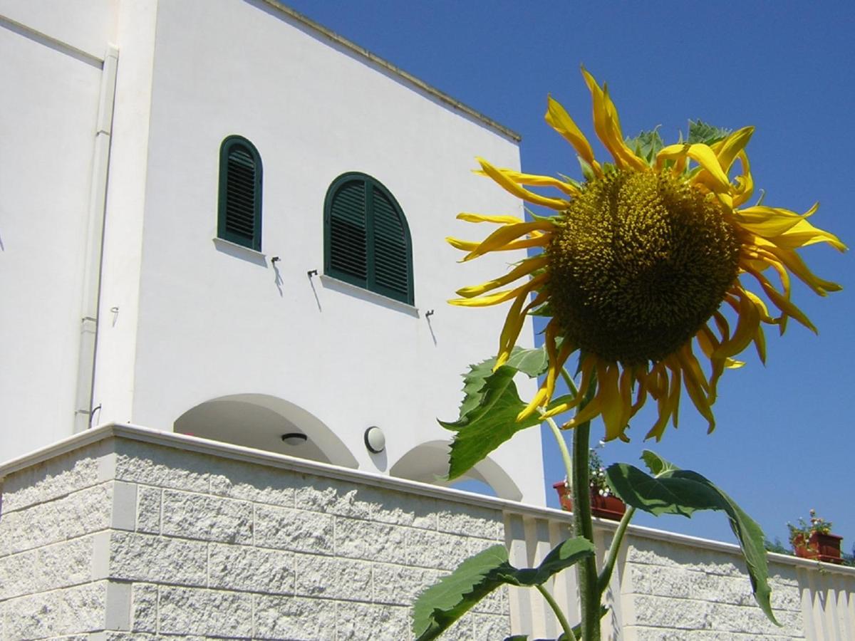 Azienda Agrituristica La Torre