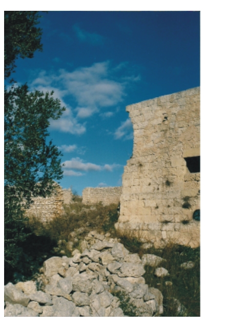 storia-vignacastrisi1